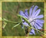 img_4652_s2.jpg
