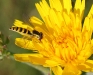 img_4667_2.jpg