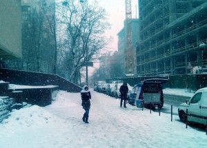 Третина весни позаду .)